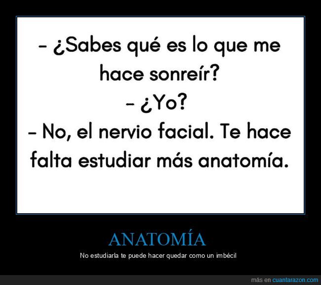 sonreír,nervio facial,anatomía