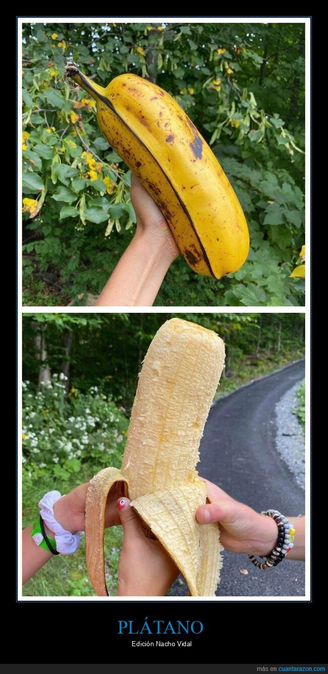 plátano,gigante,wtf