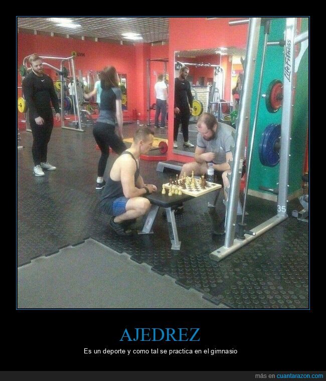 ajedrez,gimnasio,wtf