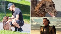 Enlace a Los perros suelen parecerse a sus dueños