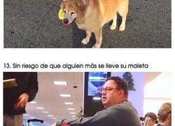 Enlace a Divertidos padres que llegaron a esa edad donde ya no les importa cómo se visten
