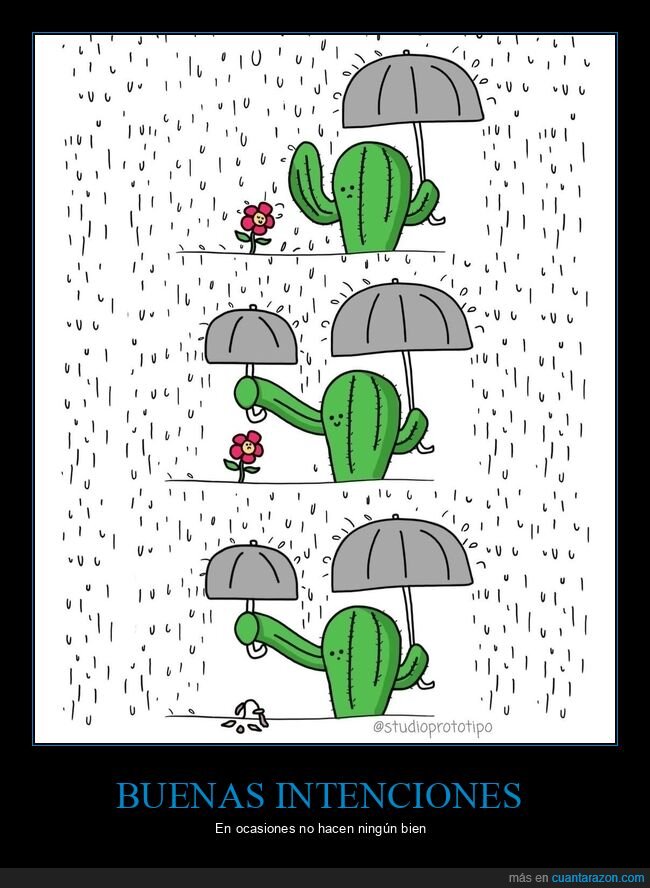 cactus,flor,lluvia,paraguas