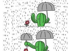 Enlace a Solo quería ayudar...