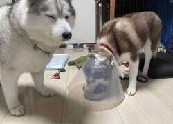 Enlace a Aprovechando la circunstancia