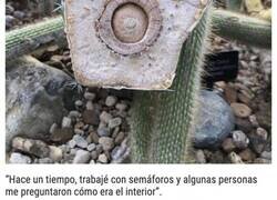 Enlace a Fotos que muestran el lado que no vemos de las cosas