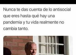 Enlace a ¿Pandemia? ¿Qué pandemia?