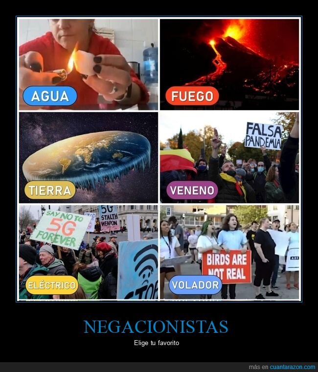 negacionistas,tipos
