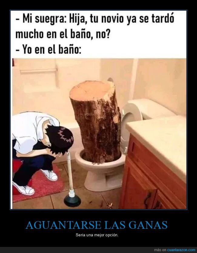 baño,suegra,váter,atascado