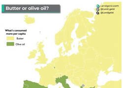 Enlace a Lo que realmente divide a Europa