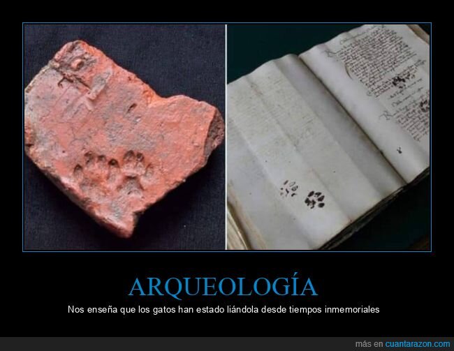 arqueología,gatos,fails,huellas