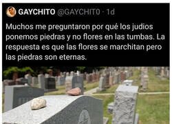 Enlace a Dos posibles respuestas