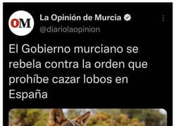 Enlace a Por llevar la contraria