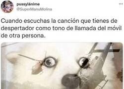 Enlace a Canciones que evocan malos recuerdos