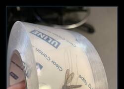 Enlace a Momento y lugar equivocados