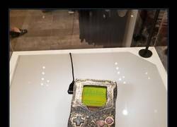 Enlace a Heridas de guerra