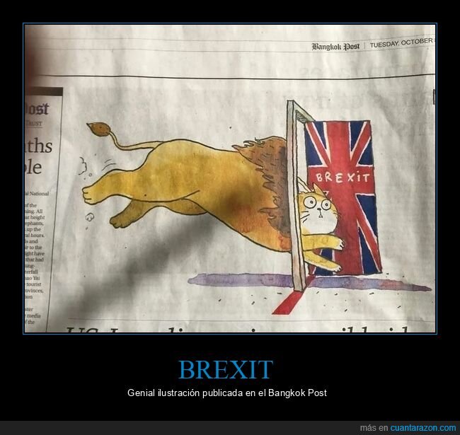 brexit,león,gato