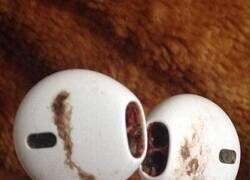 Enlace a Mejor que se los quede