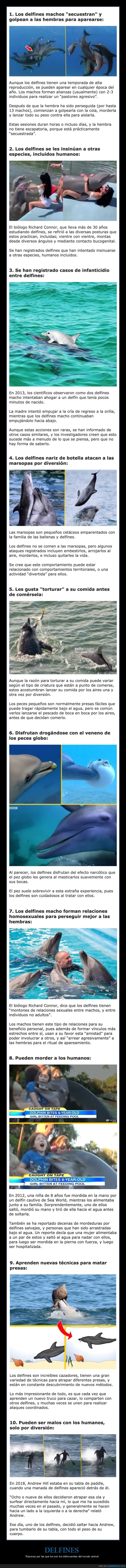 delfines,delincuentes