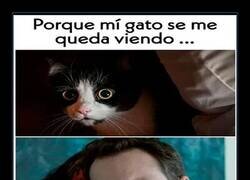Enlace a Lo que tú no ves y tu gato sí que ve