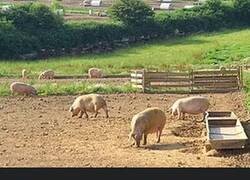 Enlace a Lo del Brexit se les ha ido totalmente de las manos