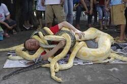 Enlace a A ver cómo se levanta el campeón de ahí