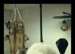 Enlace a Qué horror...