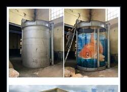 Enlace a Este artista callejero francés pinta graffitis de criaturas en 3D increíblemente realistas