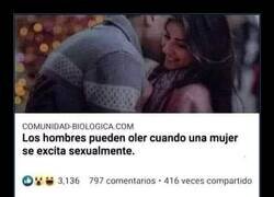 Enlace a No lo sé Rick...