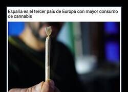 Enlace a Medalla de bronce