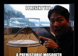 Enlace a Te pilla y te deja seco