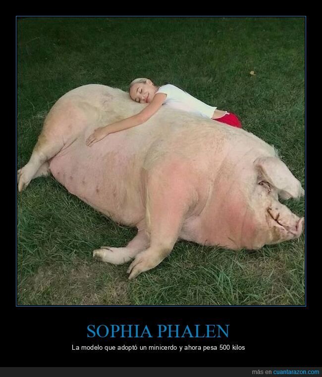 sophia phallen,cerdo,gigante
