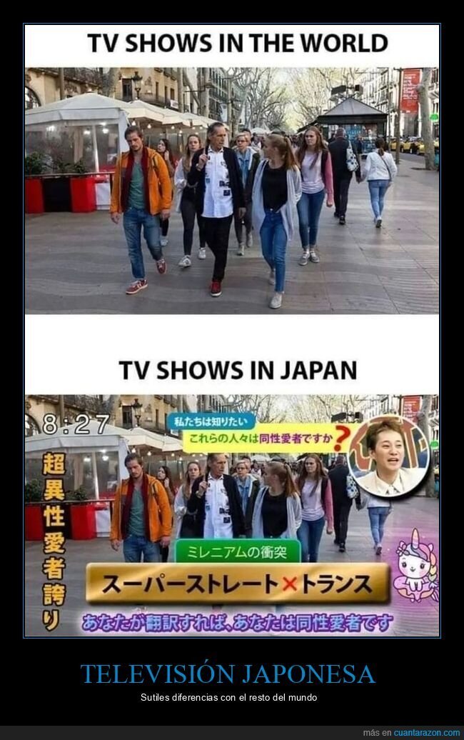 televisión,japón