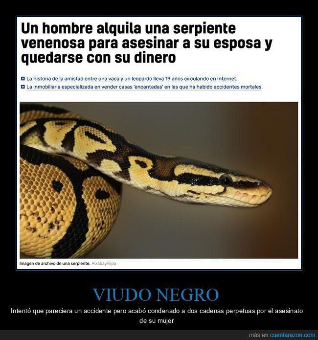 matar,serpiente