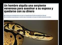 Enlace a Serpiente mortal