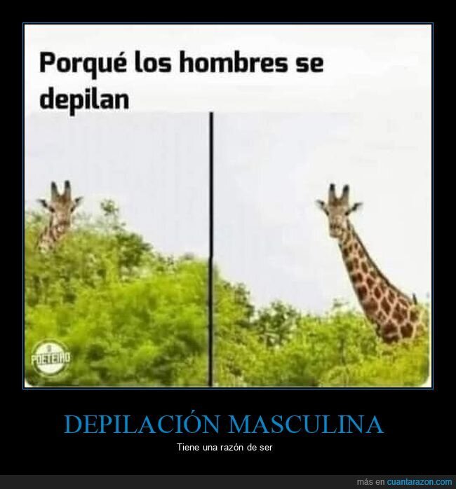 depilarse,hombres,jirafa