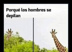 Enlace a Todo tiene un por qué