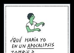 Enlace a Lo que podría ocurrir en un apocalipsis zombie