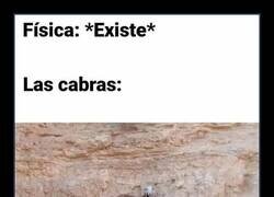 Enlace a Las cabras van a lo suyo