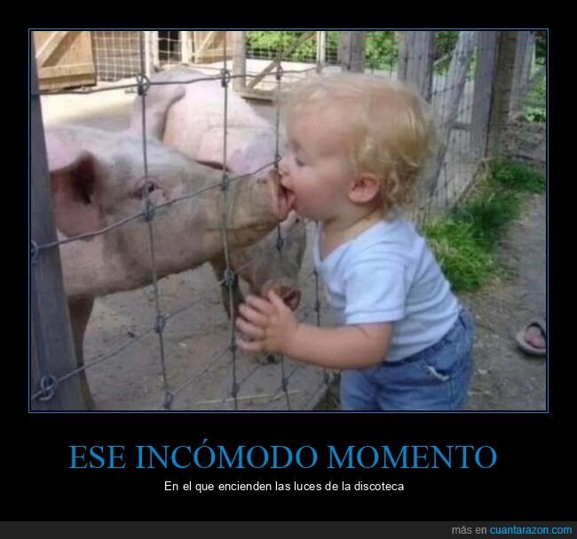 cerdo,niño,wtf