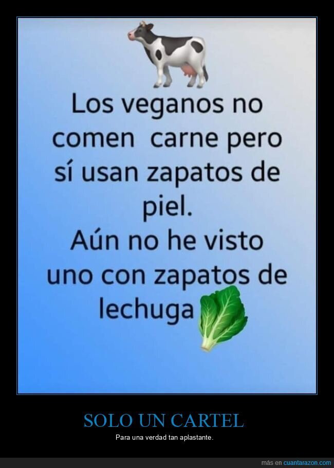 veganos,zapatos,piel