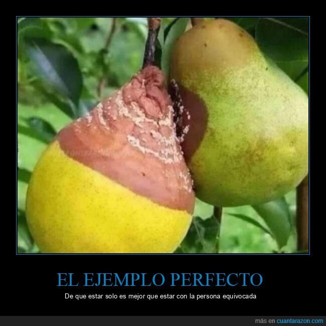 solo,persona equivocada,frutas