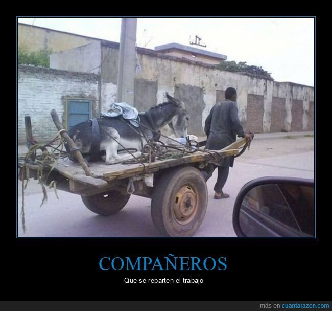 burro,carro,llevando