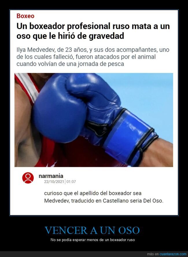boxeador,ruso,oso,wtf