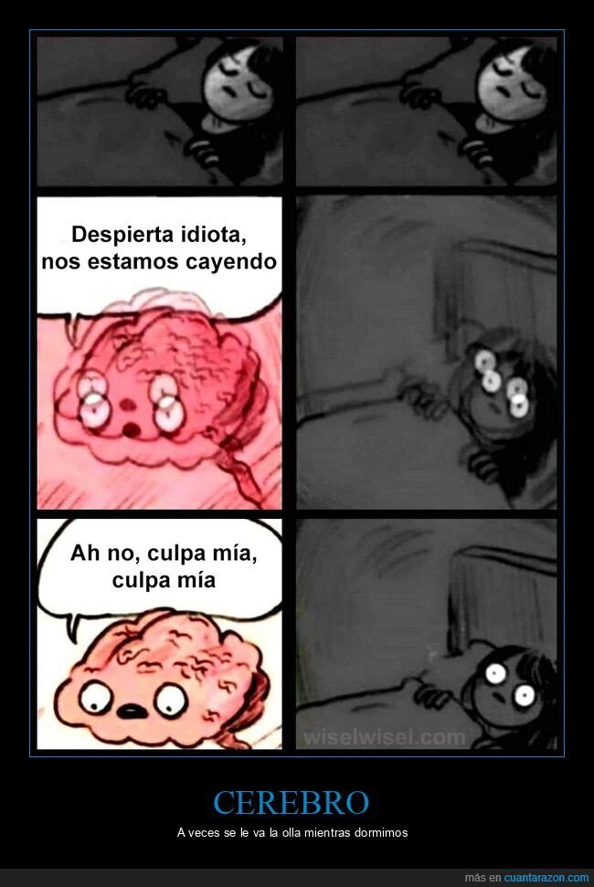 cayendo,cerebro,durmiendo