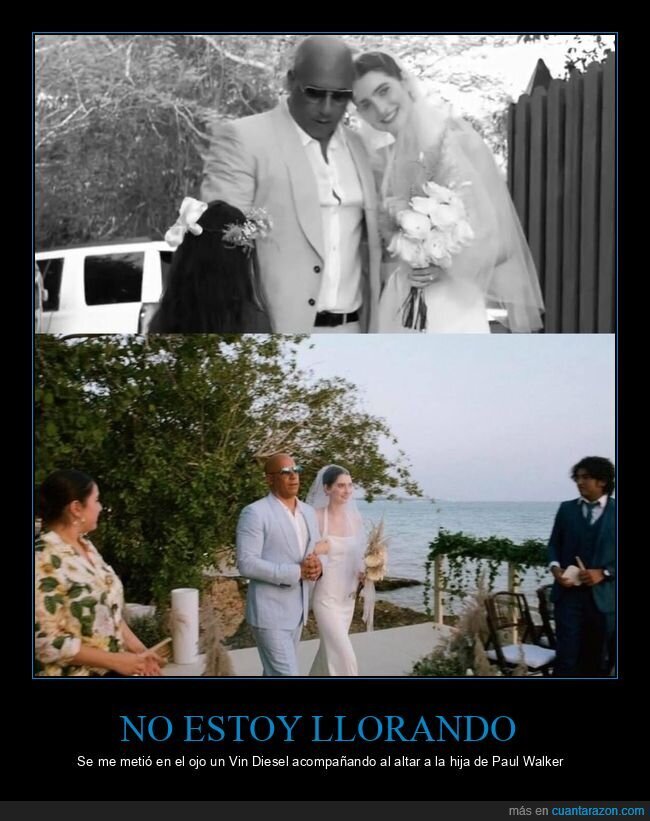 boda,hija,paul walker,vin diesel