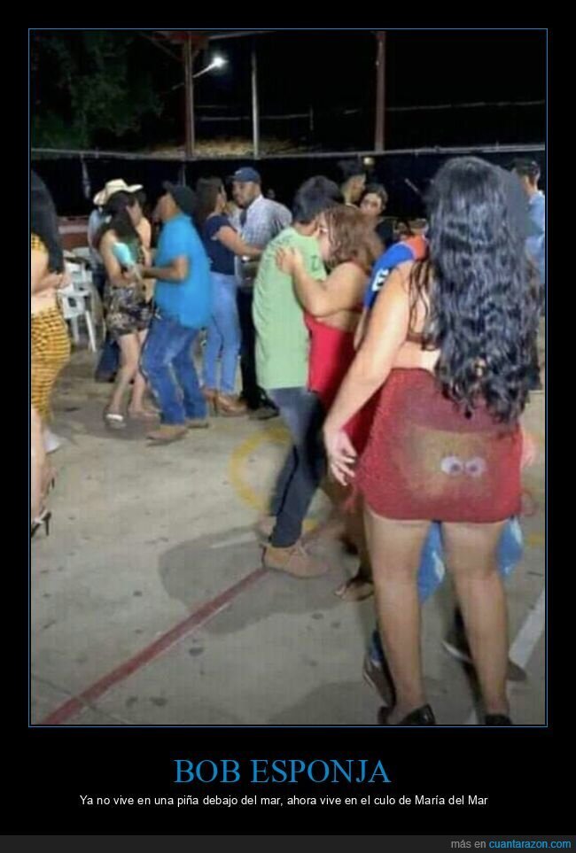 bob esponja,bragas