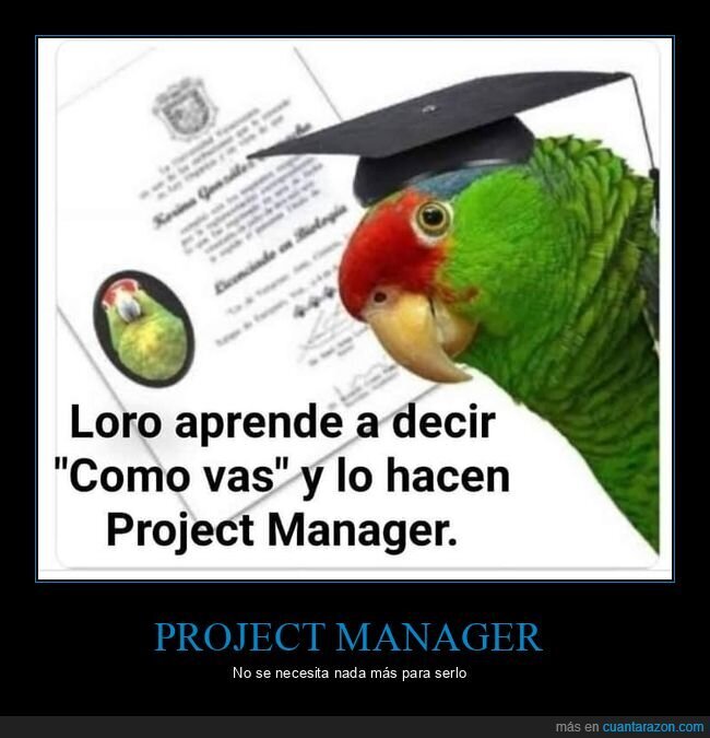 project manager,loro,cómo vas