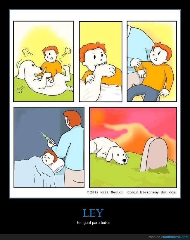 perro,niño,mordisco,inyección