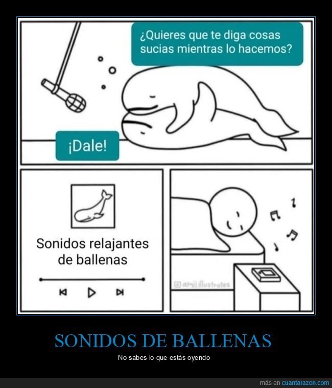 ballenas,dormir,sonidos relajantes