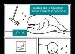 Enlace a Cosas sucias